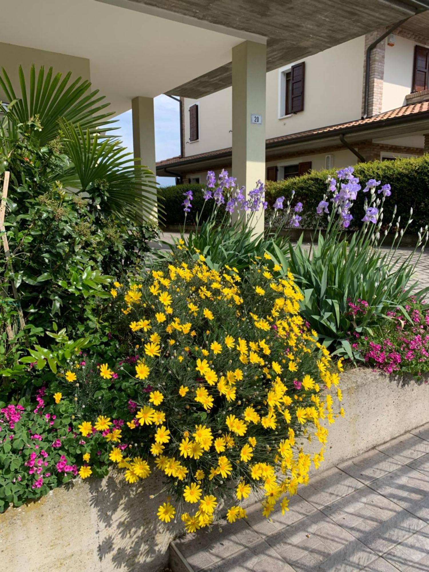 Cannuzzo B&B La Salina מראה חיצוני תמונה